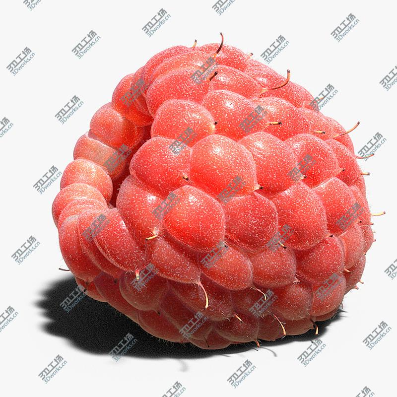 images/goods_img/2021040232/3D Raspberry (fur)/1.jpg